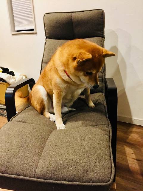 椅子が移動しにくくて困った 簡単diyでコロコロ キャスター 仕様にする方法 Diy解放区