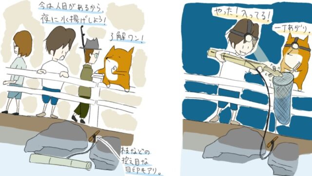 ペットボトル釣法でうなぎ釣り そのメリット デメリットを紹介します Diy解放区